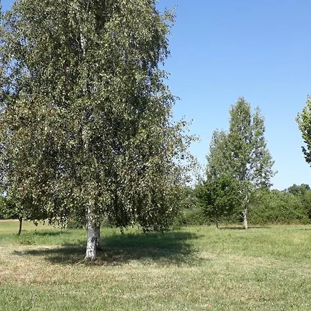 Le Parc *